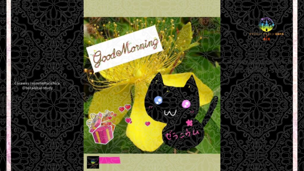 誕生花7月31日ビヨウヤナギ