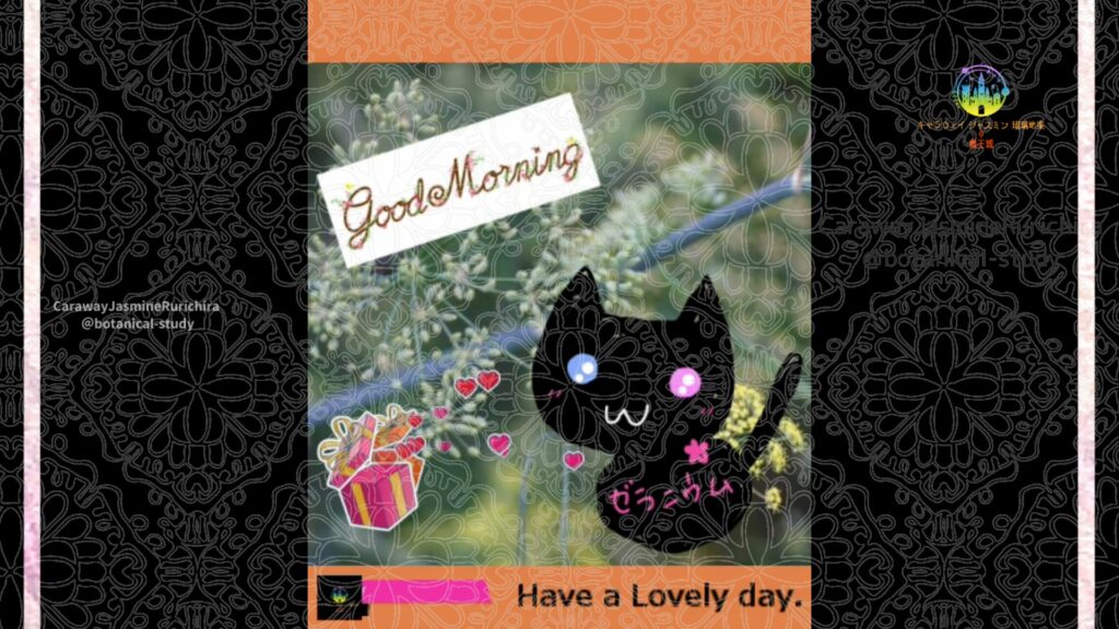 誕生花7月23日フェンネル