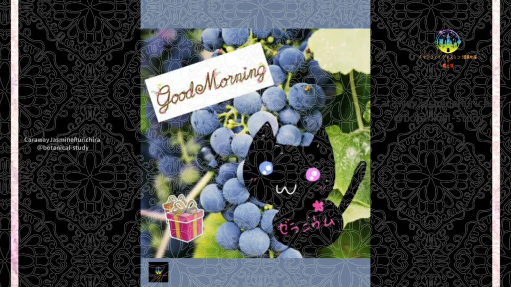 誕生花9月11日ブドウ