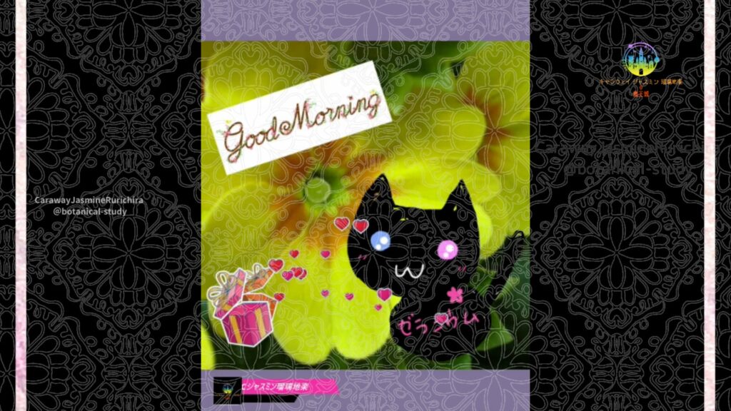 誕生花12月29日プリムラジュリアン