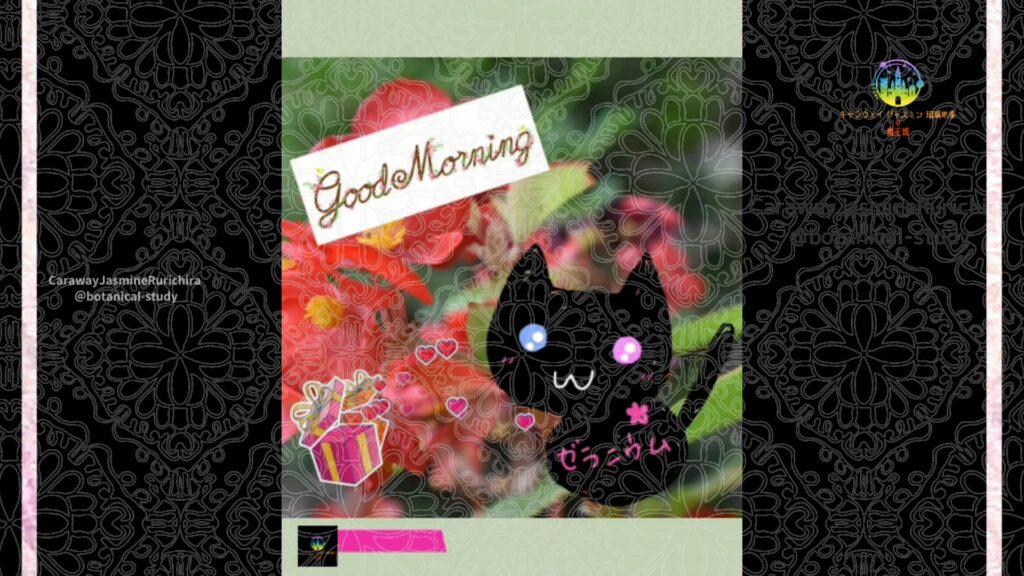 誕生花9月28日ベゴニア