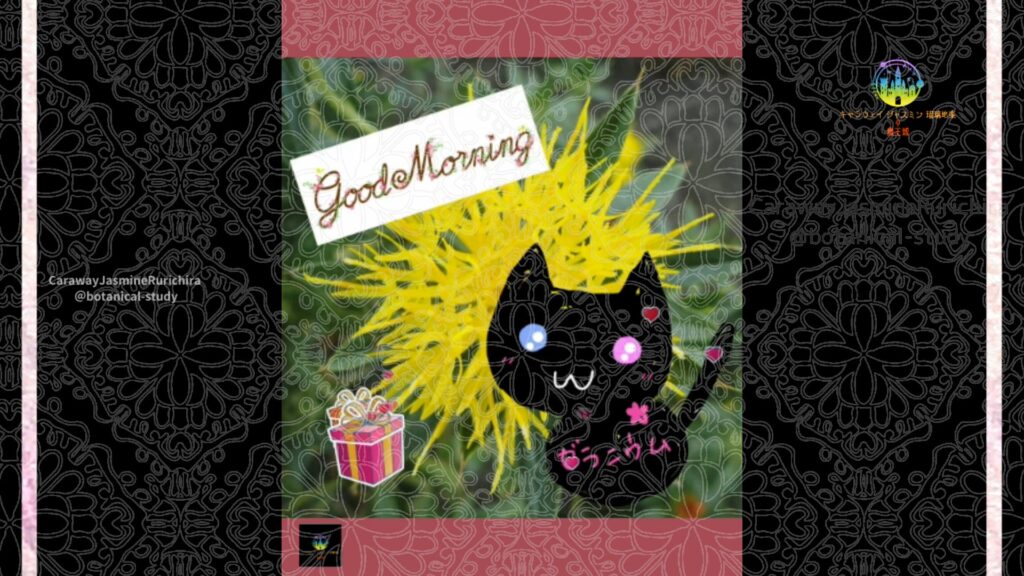 誕生花10月30日ベニバナ