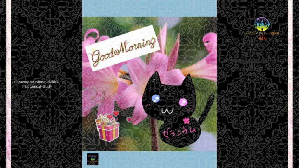 誕生花9月23日ベルナントリリー