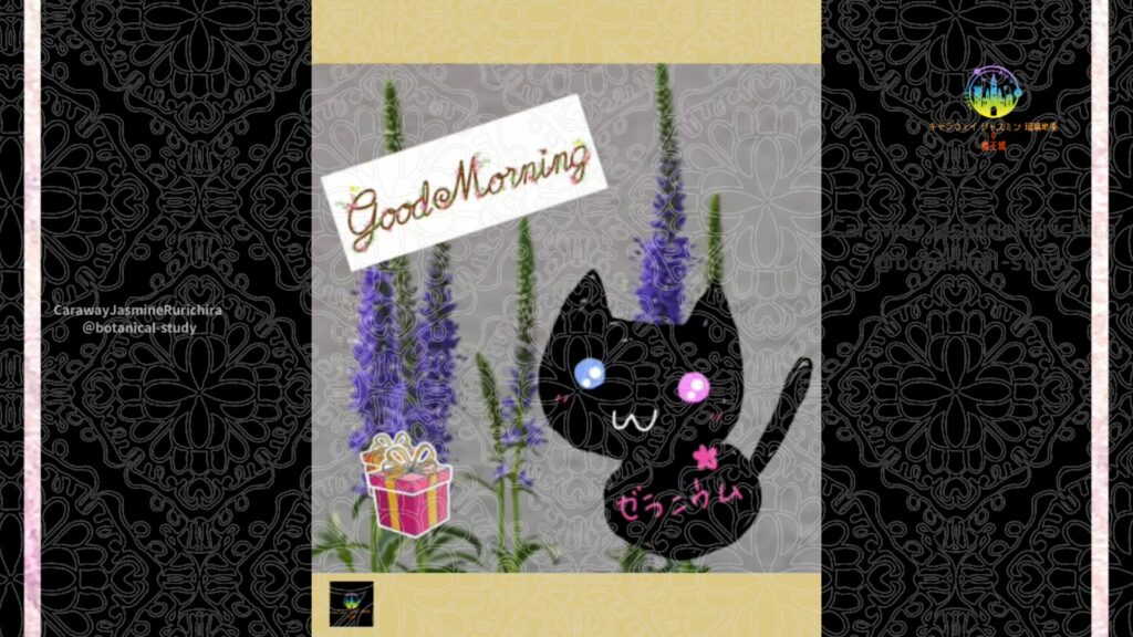 誕生花6月16日ベロニカ
