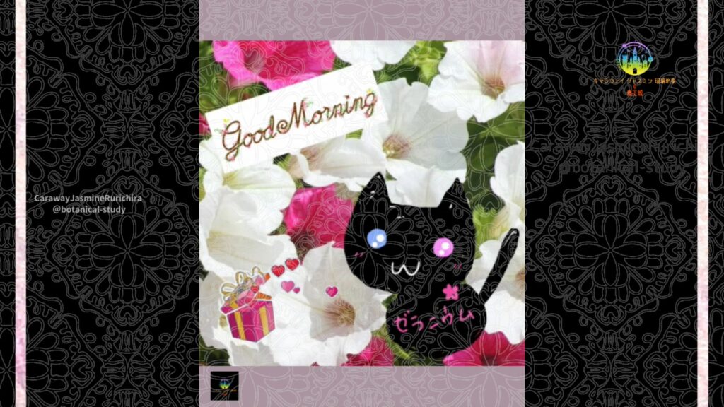 誕生花9月25日ペチュニア