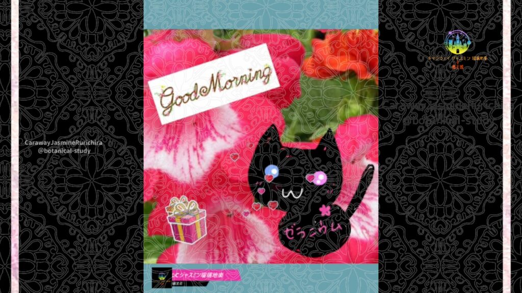 誕生花9月4日ペンステモン
