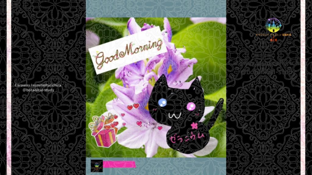誕生花9月1日ホタテアオイ