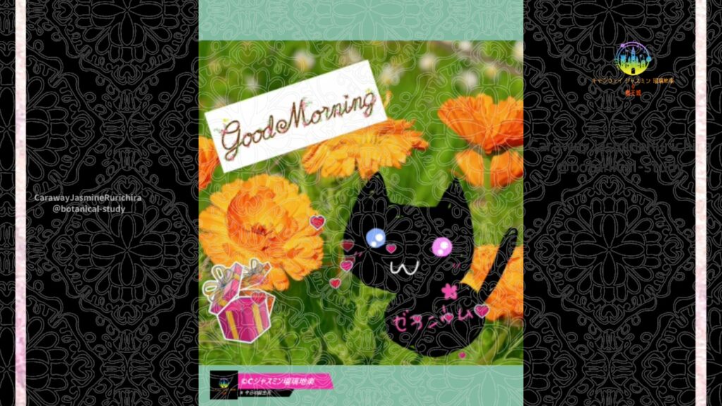誕生花9月5日マリーゴールド