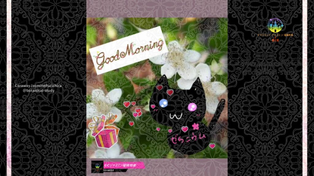 誕生花9月21日マートル