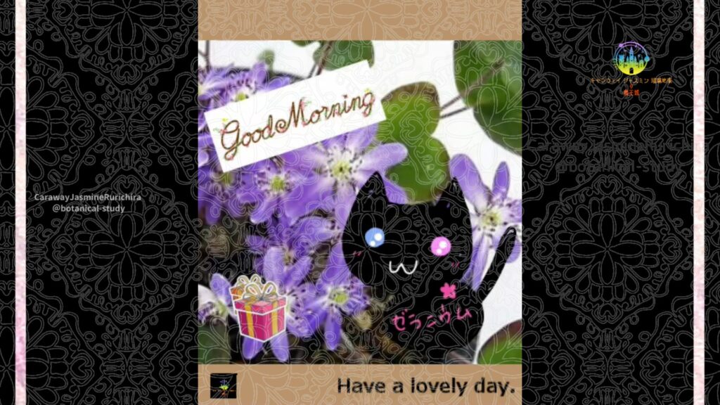 誕生花1月11日ミスミソウ