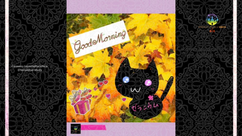 誕生花10月3日モミジ