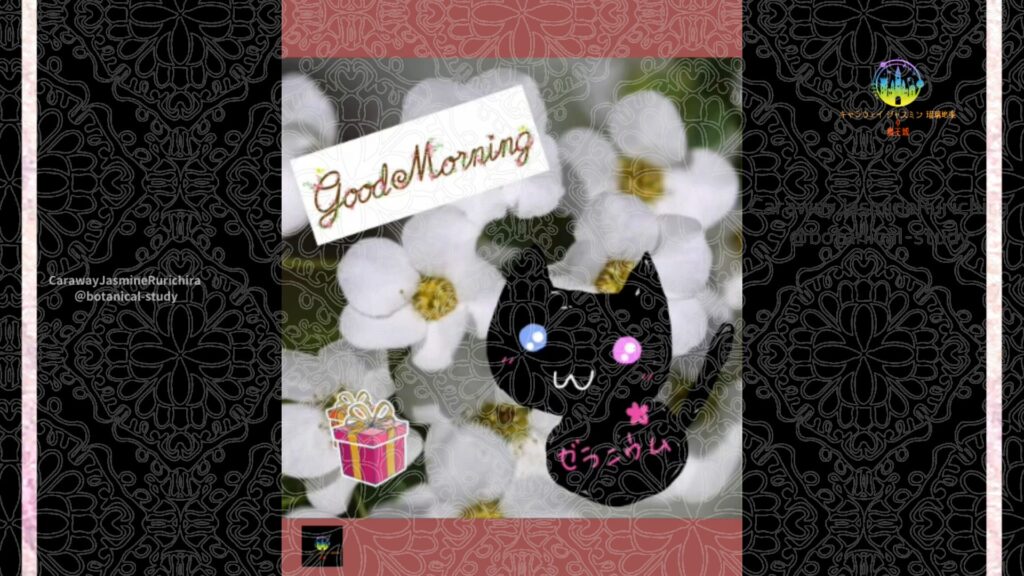 誕生花1月19日ユキヤナギ