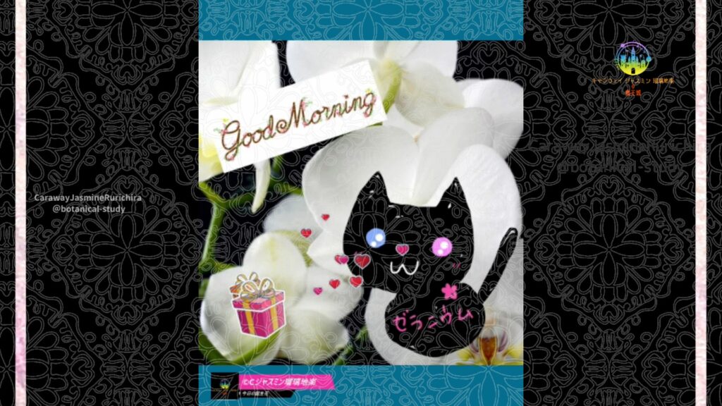 誕生花12月27日ラン