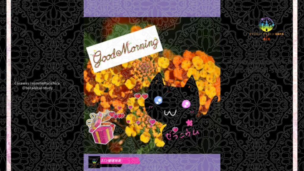 誕生花9月7日ランタナ