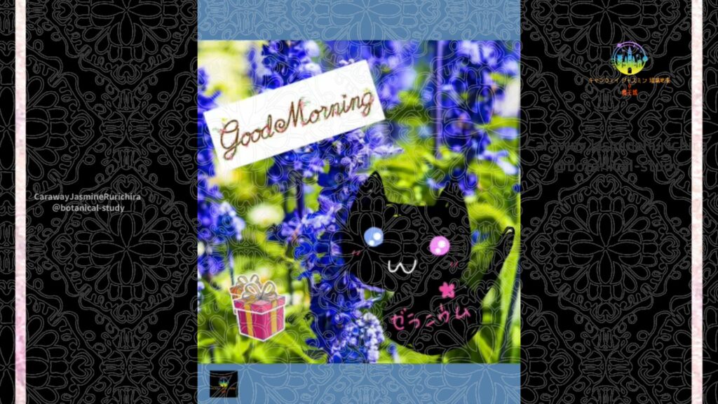誕生花12月20日ラークスパー