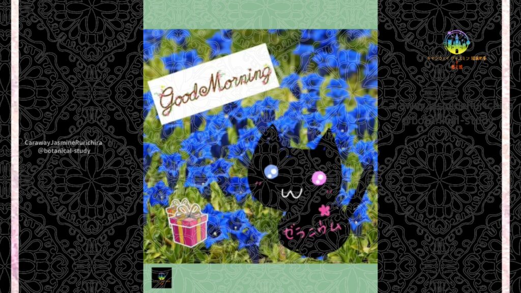 誕生花9月12日リンドウ