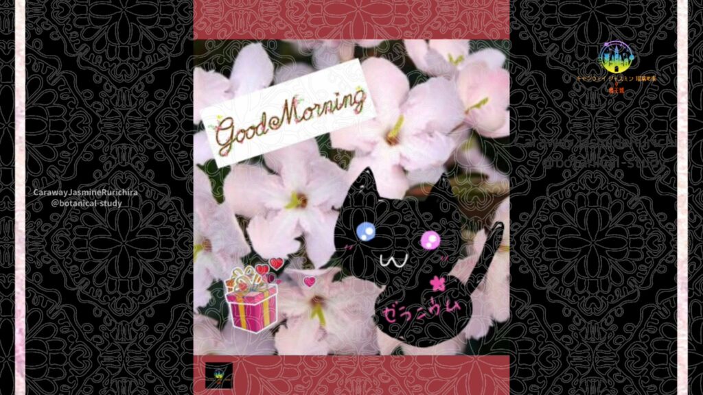 誕生花11月7日ルクリア