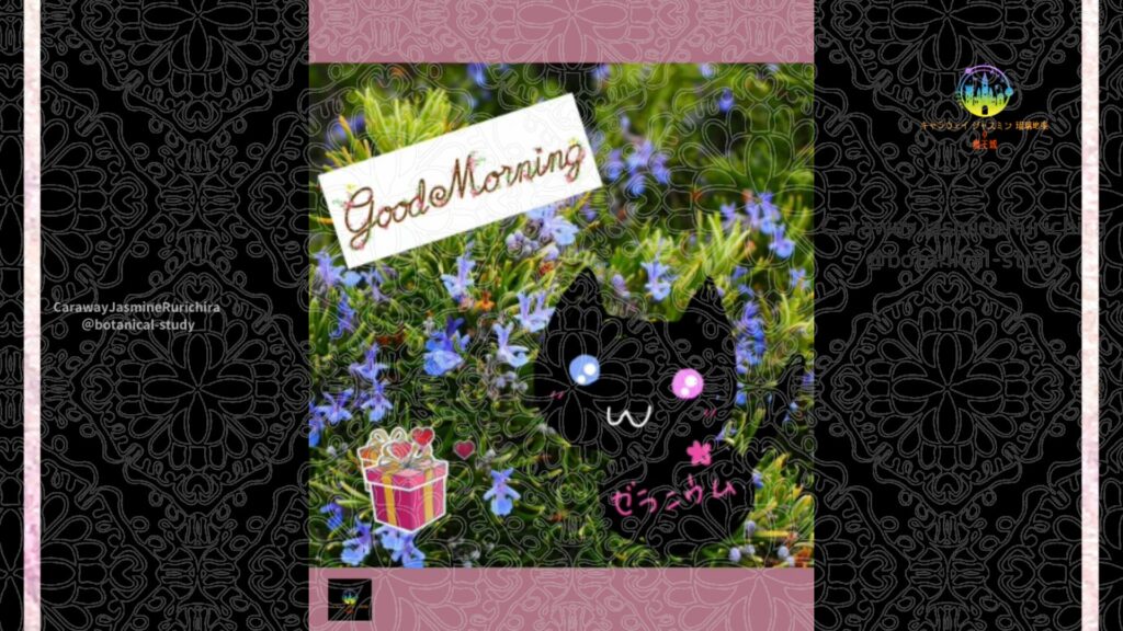 誕生花11月22日ローズマリー