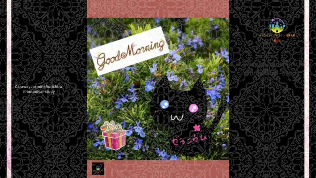 誕生花9月17日ローズマリー