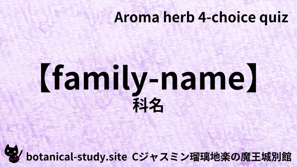 英語版科名のアイキャッチ