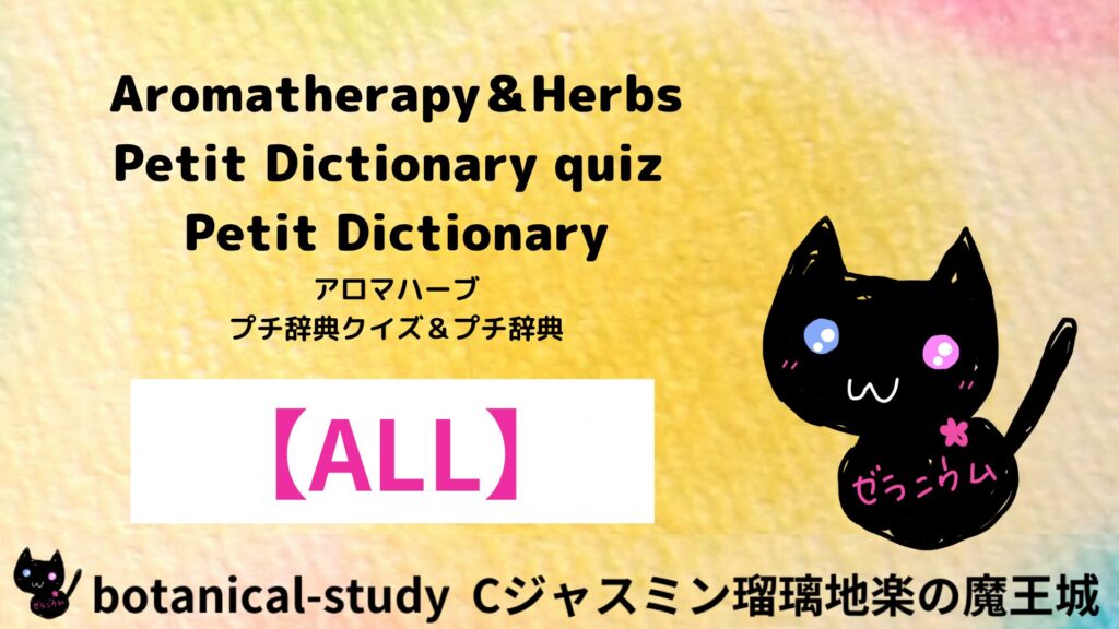 英語版HPプチ辞典クイズバナー
