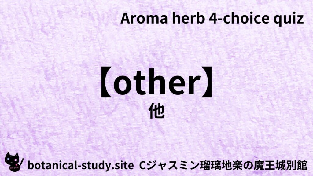英語版その他のアイキャッチ