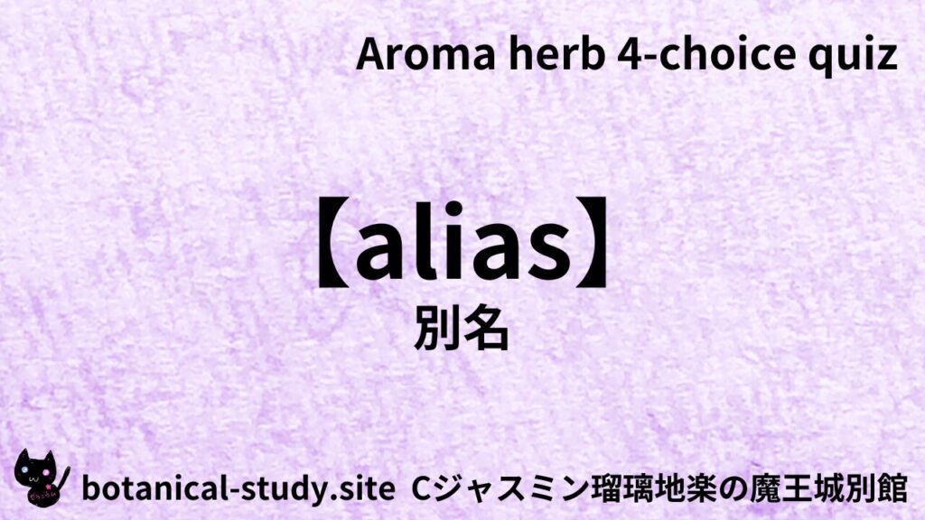 英語版別名のアイキャッチ