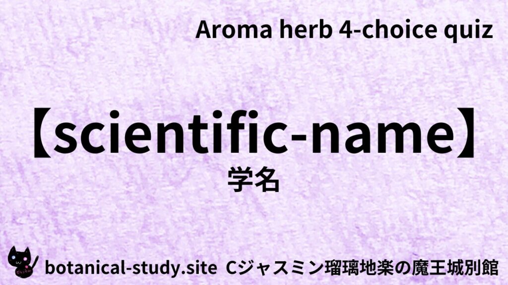 英語版学名のアイキャッチ