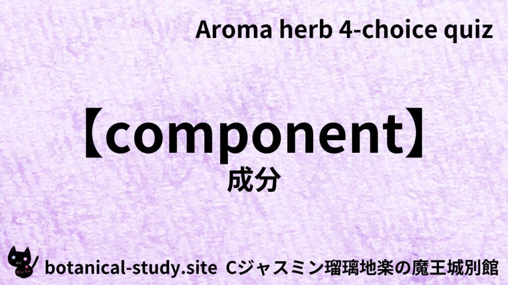 英語版成分のアイキャッチ