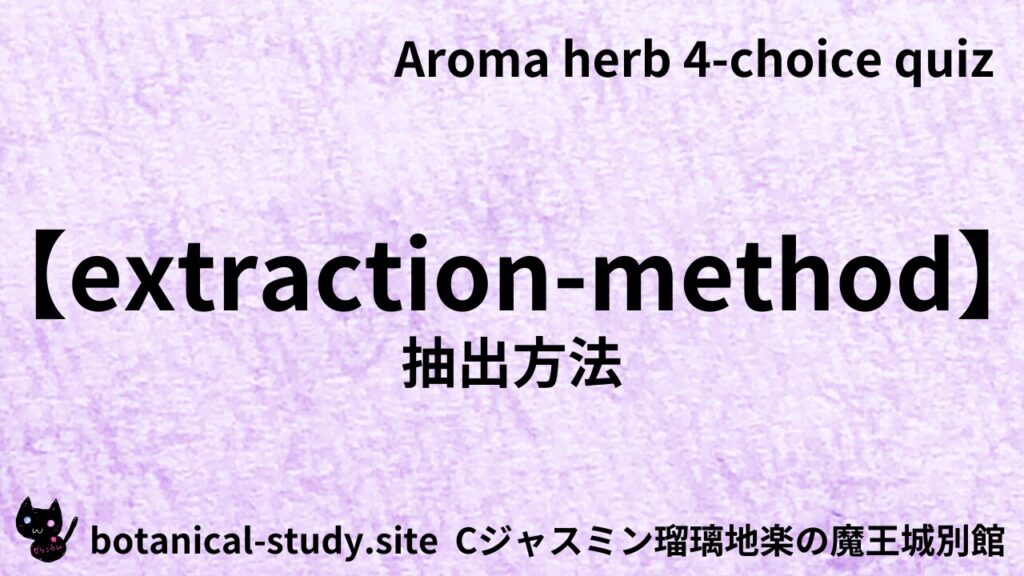英語版抽出方法のアイキャッチ