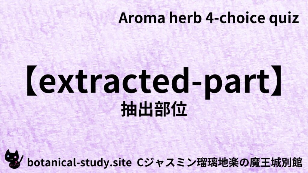 英語版抽出部位のアイキャッチ