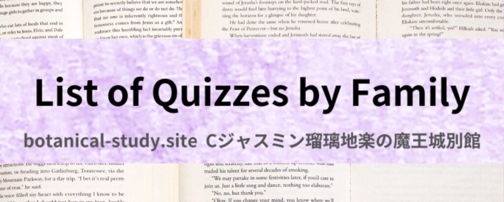 英語版科名別一覧のアイキャッチ