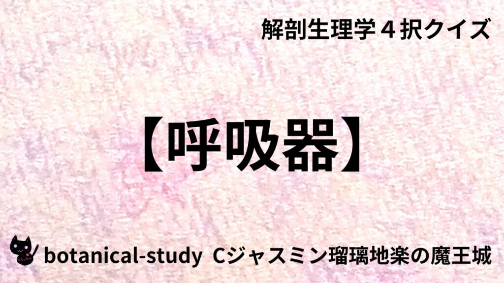呼吸器のアイキャッチ