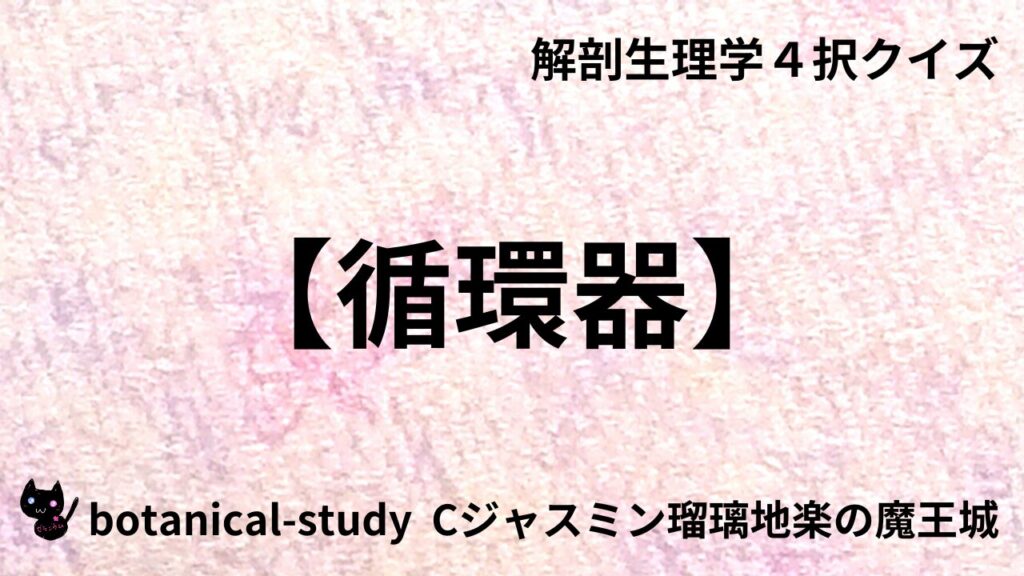 循環器のアイキャッチ