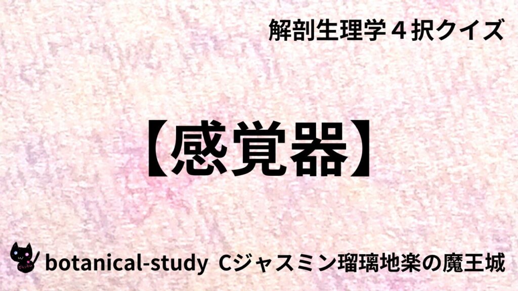 感覚器のアイキャッチ