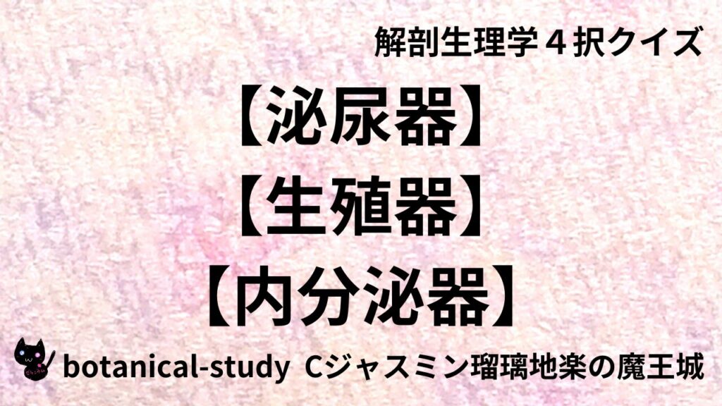 泌尿器・生殖器・内分泌器のアイキャッチ