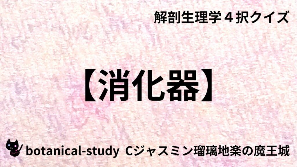 消化器のアイキャッチ