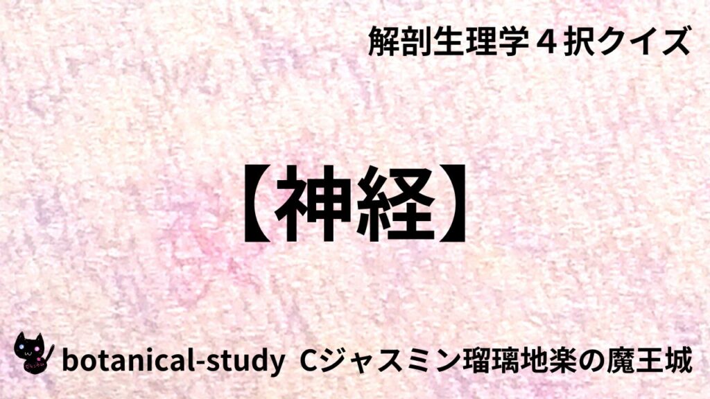 神経のアイキャッチ