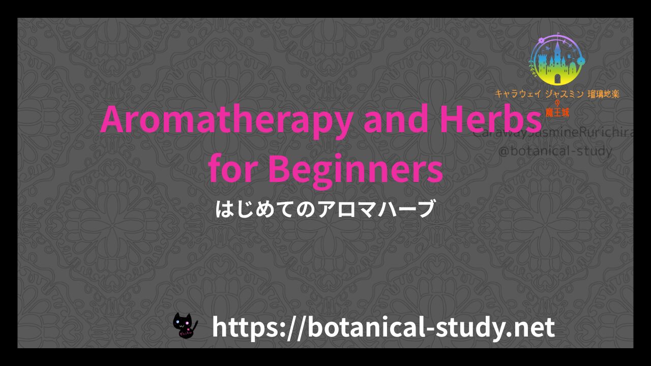 英語版はじめてのアロマハーブのアイキャッチ
