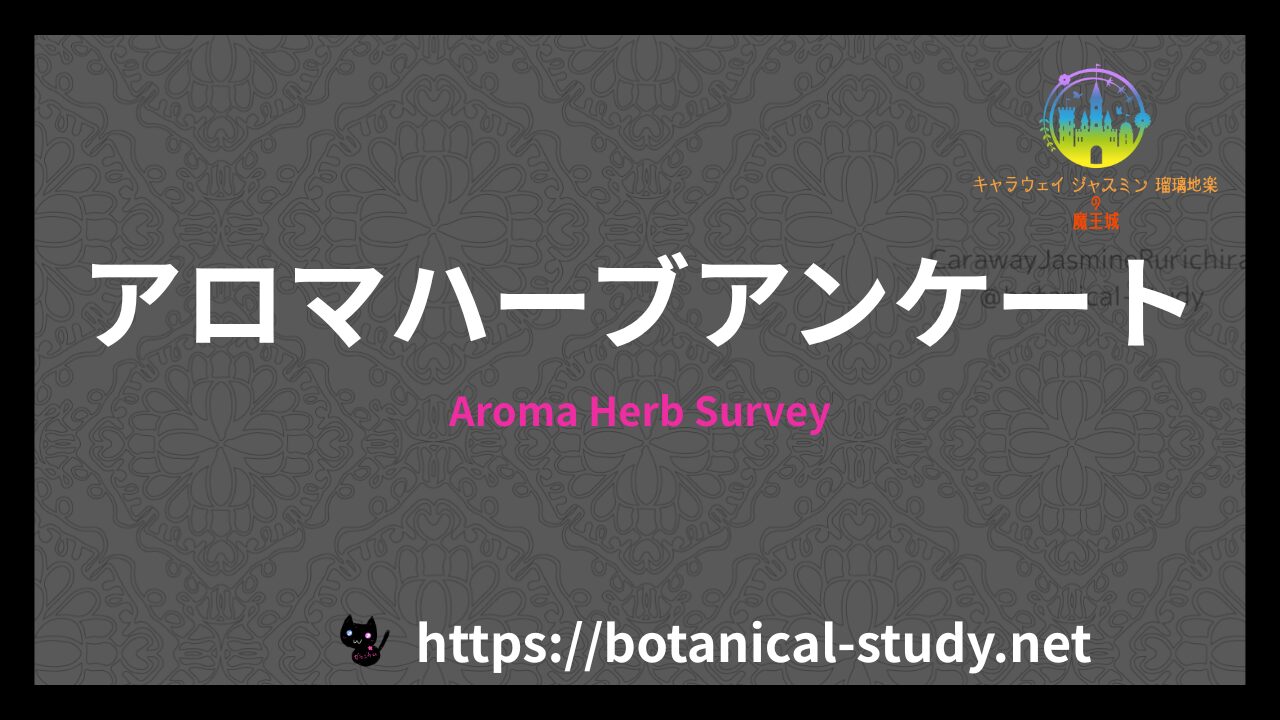アロマハーブアンケートのアイキャッチ