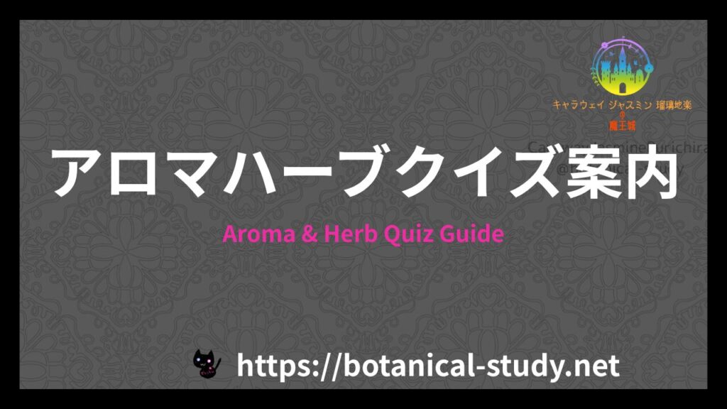 アロマハーブクイズ案内のアイキャッチ