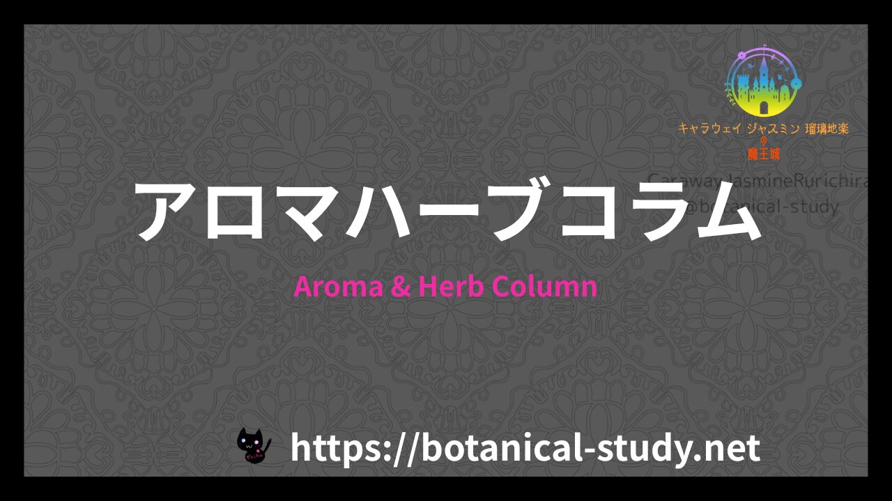 アロマハーブコラムのアイキャッチ