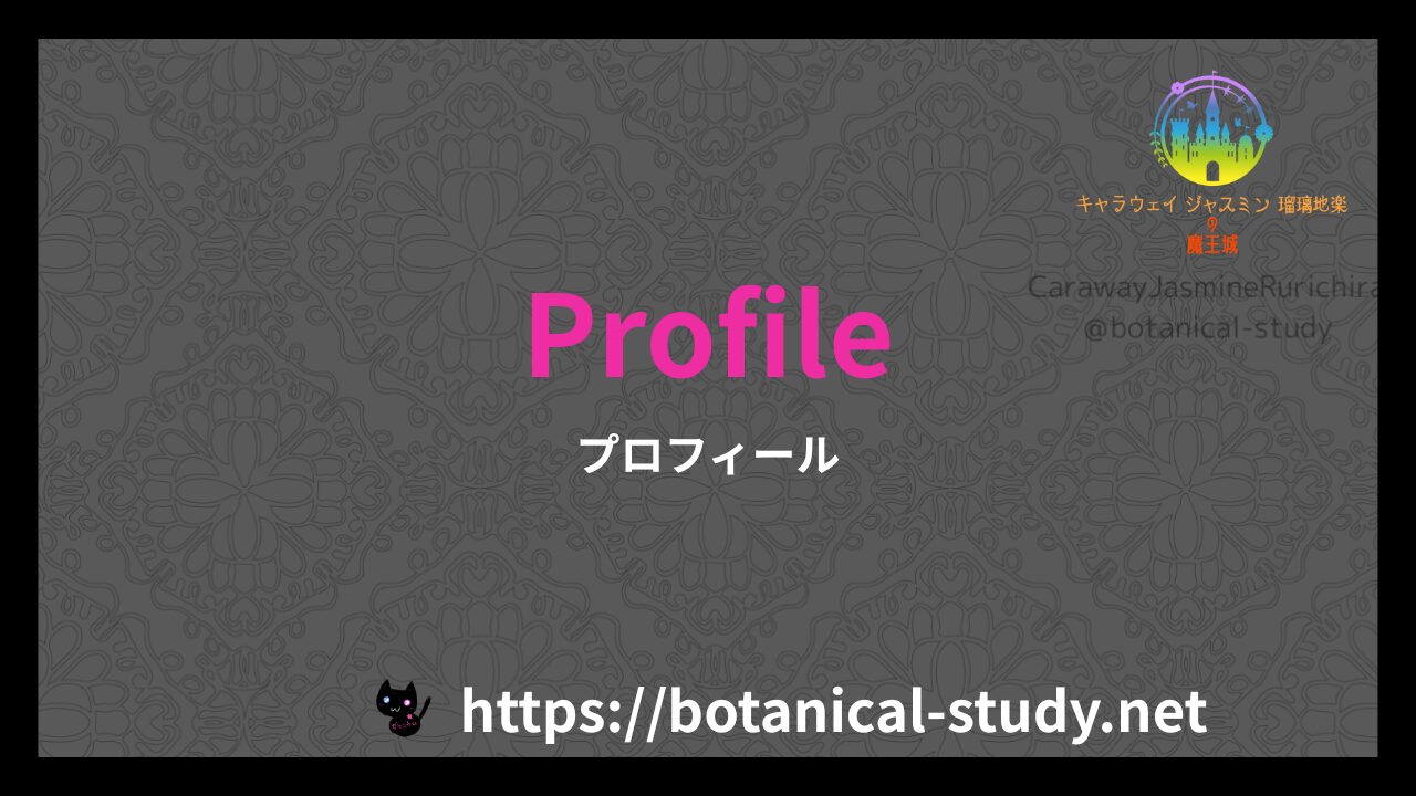 英語版プロフィールのアイキャッチ