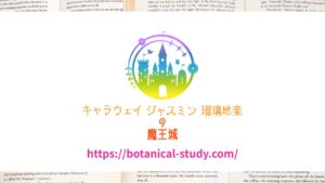 リンク用OGP