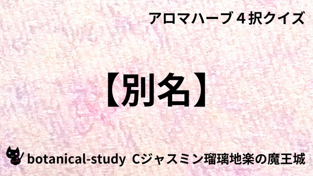 別名のアイキャッチ