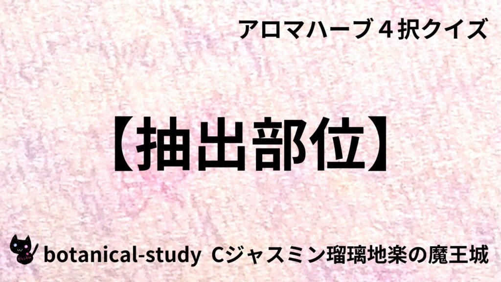 抽出部位のアイキャッチ
