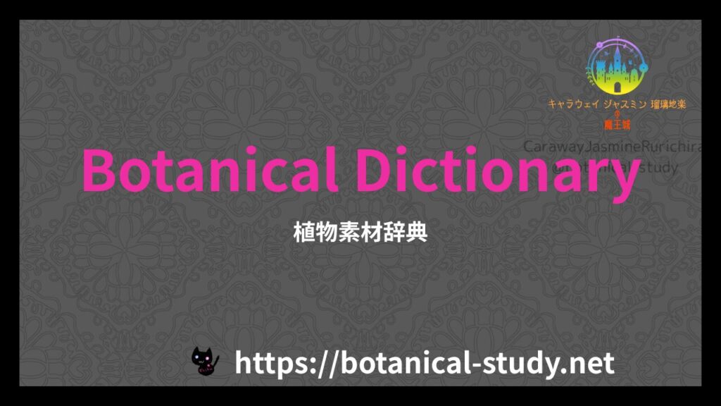 英語版植物素材辞典のアイキャッチ