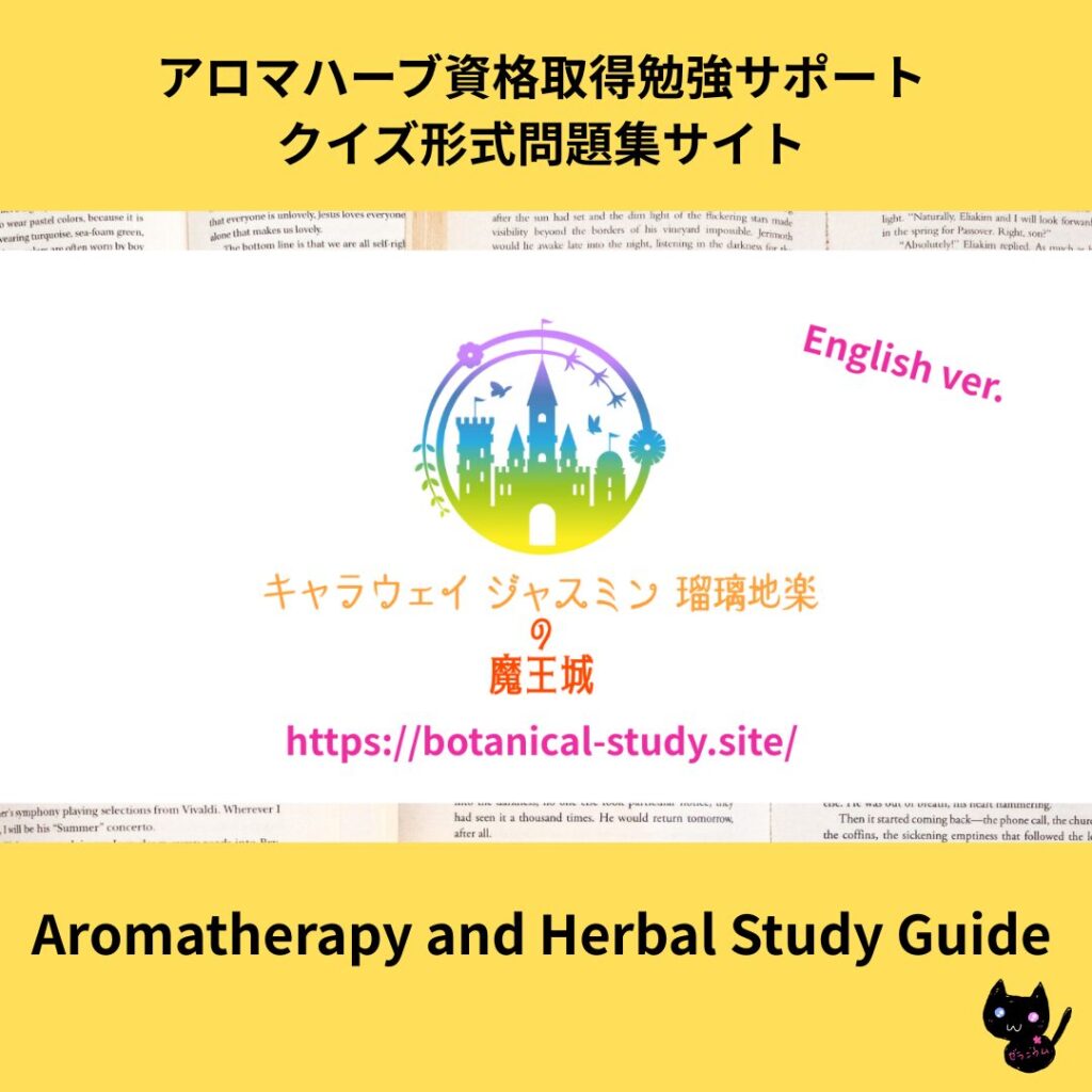英語版魔王城サイトリンクバナー