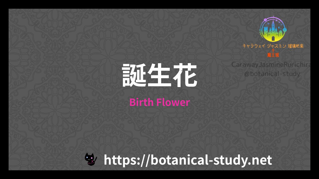 誕生花のアイキャッチ