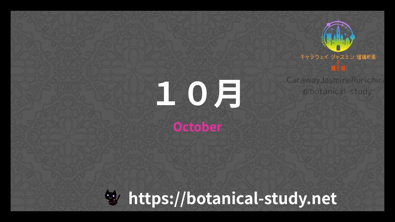 誕生花10月のアイキャッチ